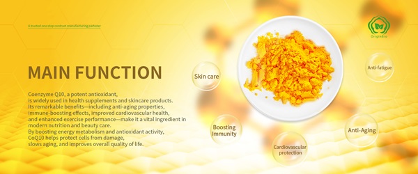/uploads/image/2025/10/10/CoQ10-and-magnesium-1.jpg CoQ10-and-magnesium-1.jpg