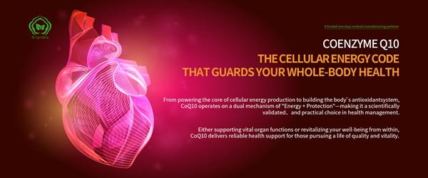/uploads/image/2025/10/10/CoQ10-and-magnesium-2.jpg CoQ10-and-magnesium-2.jpg