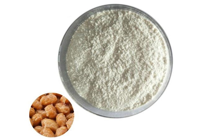 Nattokinase
