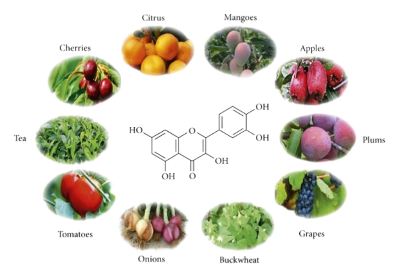 Quercetin Dihydrate Quercetin Dihydrate
