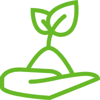 Biodisponibilité améliorée