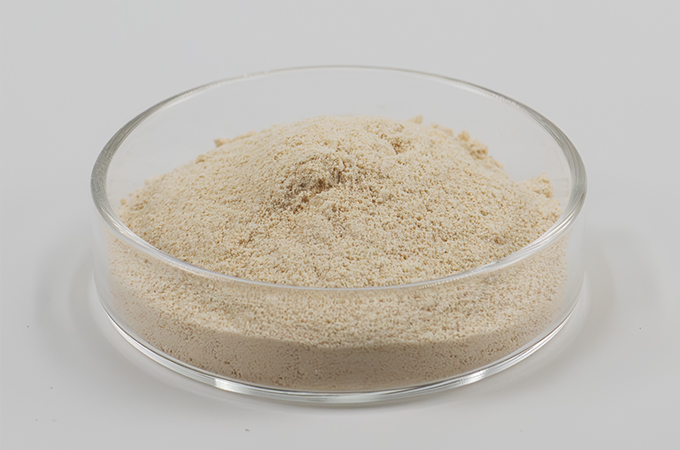 Liposomale silybin
