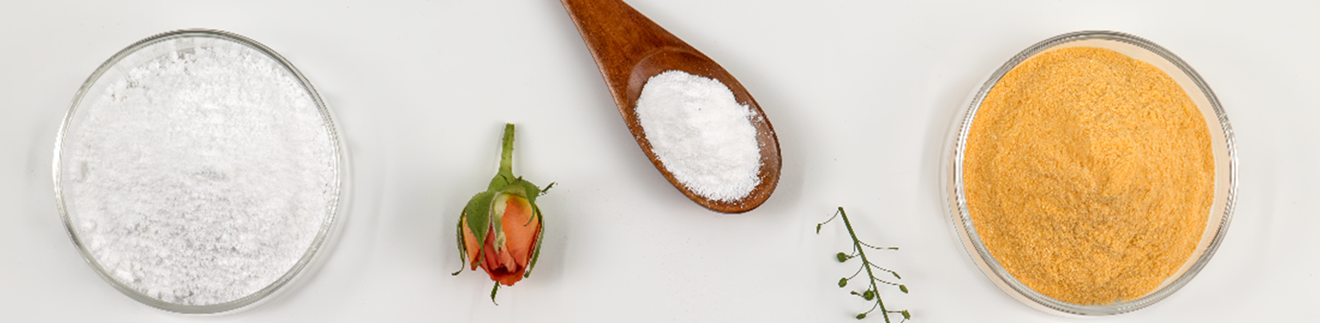 Poudre de haute qualité Suppléments Premix