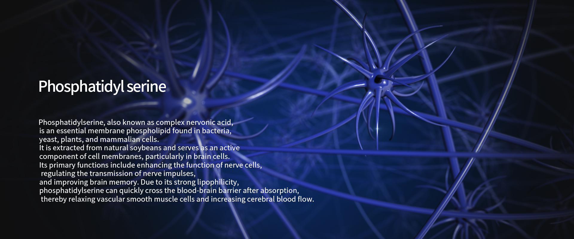 What is Phosphatidylserine