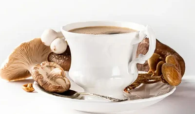 Marché des extraits de champignons médicinaux biologiques Panorama Insight: statut actuel, tendances et facteurs moteurs