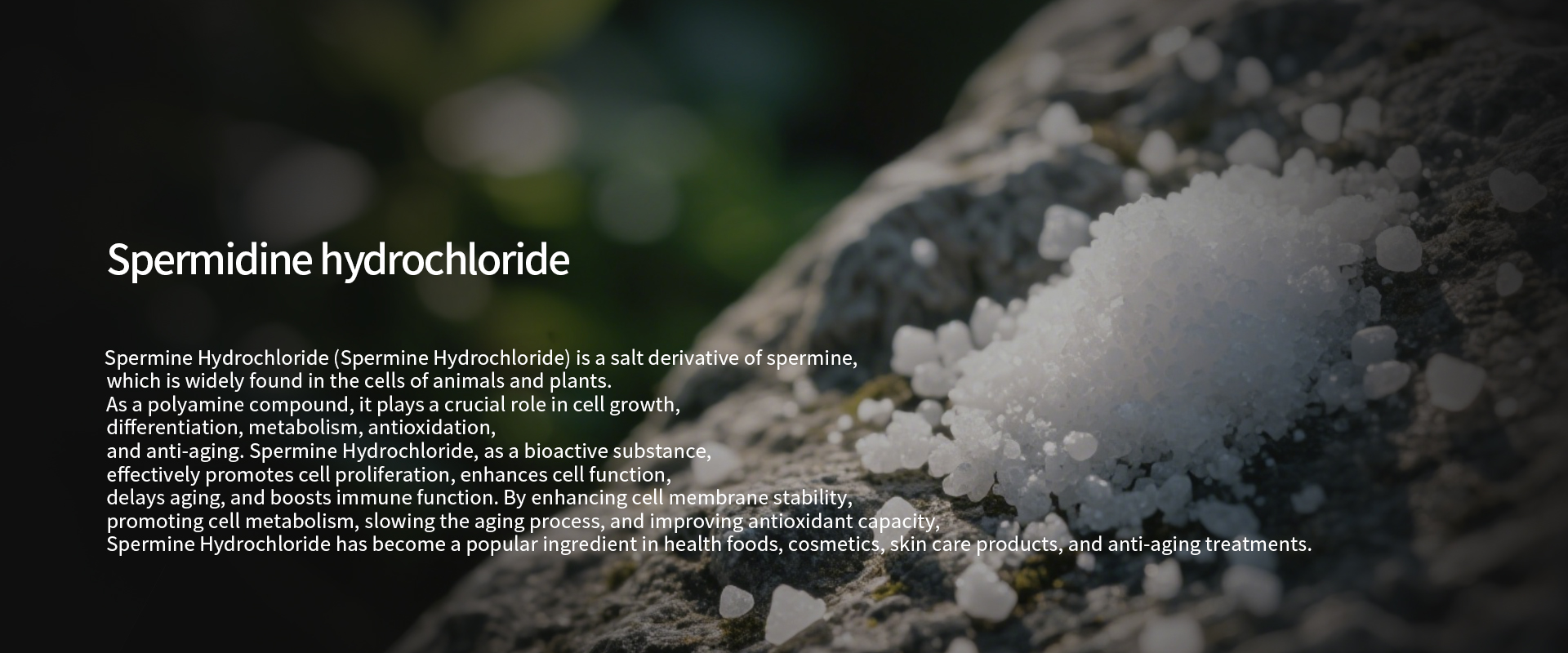 Spermidine_hydrochloride-1.jpg Spermidine_hydrochloride-1.jpg