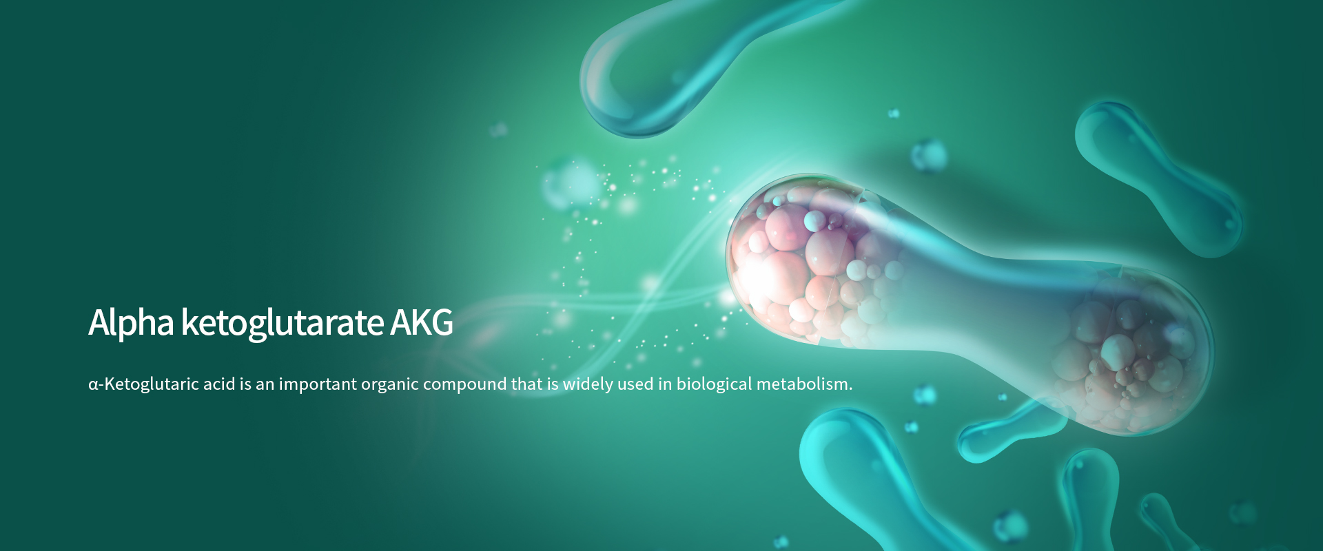 Alpha_ketoglutarate_AKG-1.jpg