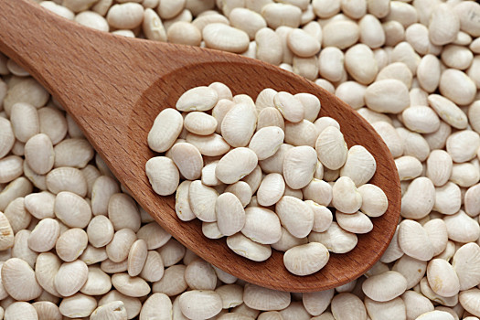 White_Kidney_Bean.png White_Kidney_Bean.png