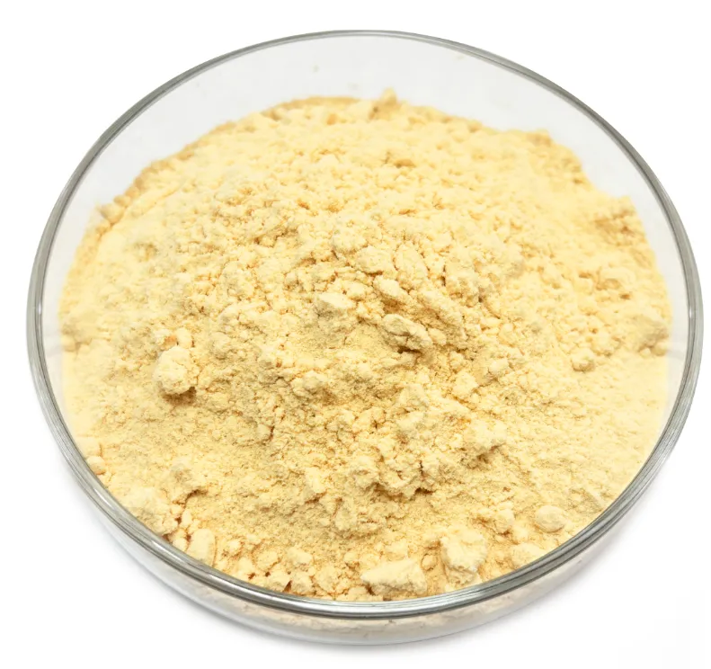 Crinière de lion bio 3