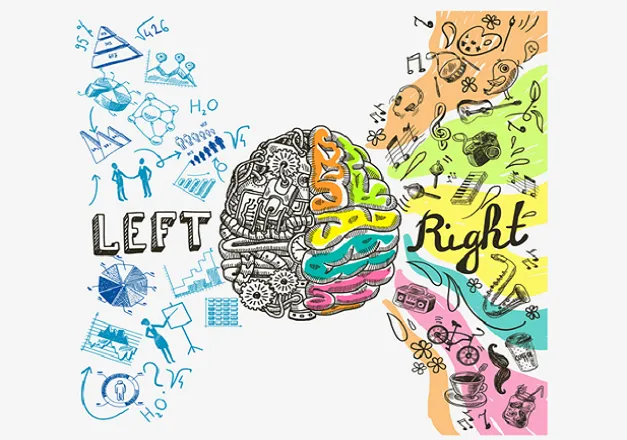 Santé du cerveau-Un segment de marché en plein essor