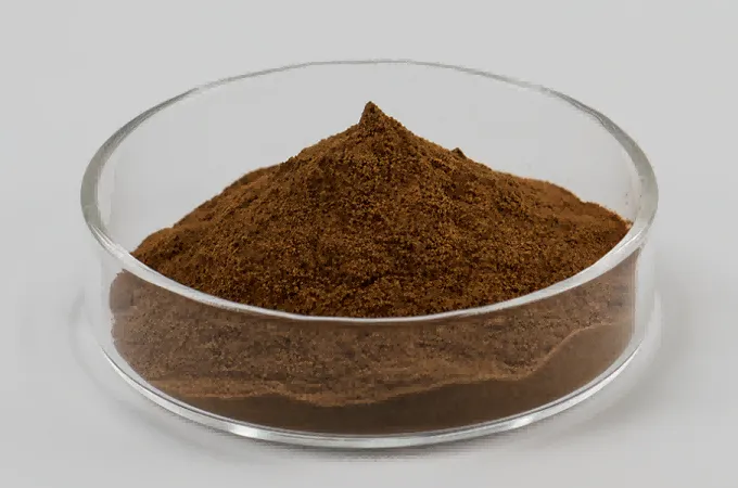 Polysaccharide Reishi organique 30%