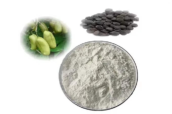 Poudre 5-HTP 98%