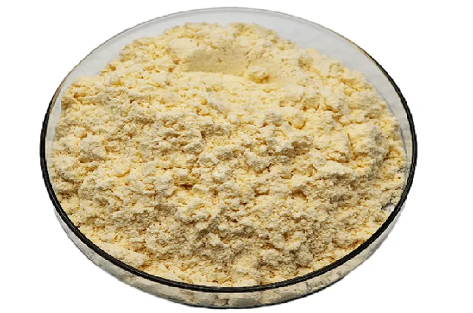 Lécithine de soja en poudre 90%