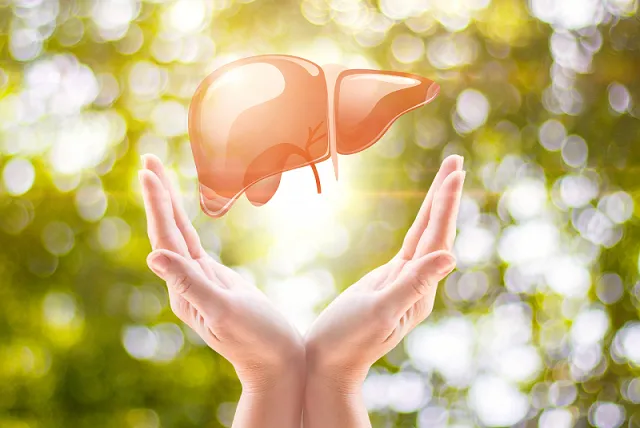 Les solutions de poudre de prémélange nutraceutique OEM couvrent la gamme de secteurs de santé